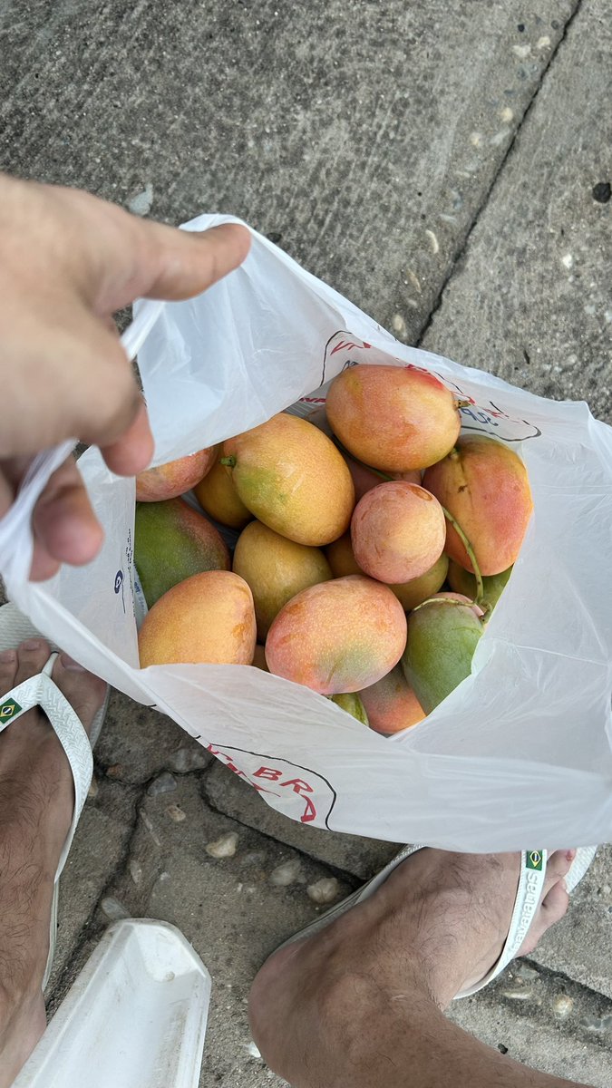 LustosaDarlyson's tweet image. Presentão desses, uma sacola de manga rosa 😮‍💨🤌🏻