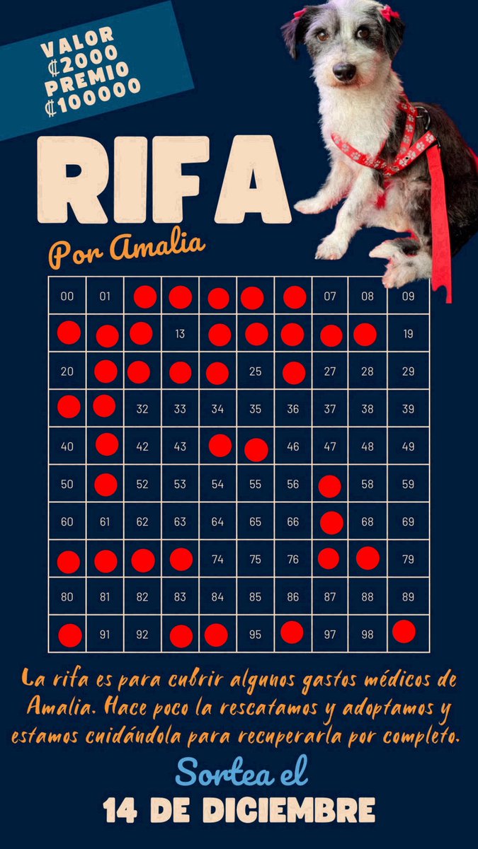 marizg05's tweet photo. Hola 🐶

Hace unos días, rescatamos a Amalia y decidimos adoptarla.
Dentro del chequeo médico, nos indicaron que debemos hacerle un ultrasonido y operarla pronto.

Esta rifa es para ayudarnos un poco ❤️‍🩹 para quien desee colaborar.

Dice Ama que: muchas gracias humanos 🐾🫶🏻 https://t.co/OfqlAgCN6d