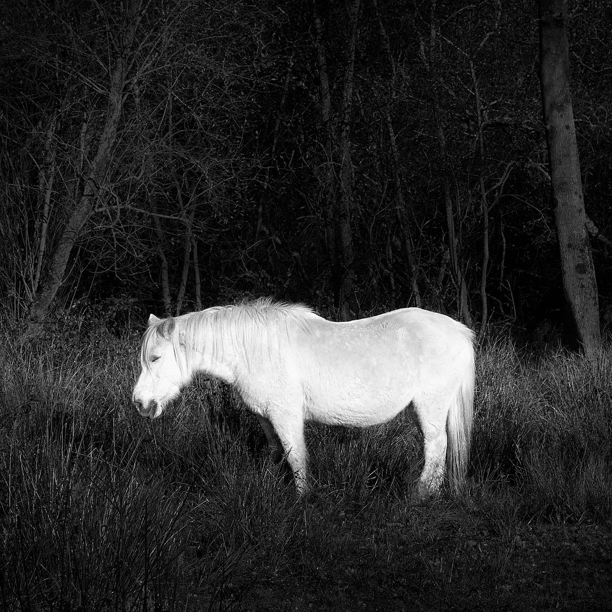 _michaelhartley's tweet image. &apos;Sunbathe&apos;