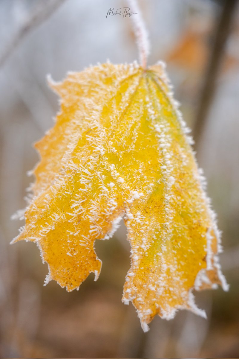 lubuwetter's tweet photo. When late #autumn meets early #winter https://t.co/C83BM5dUT9