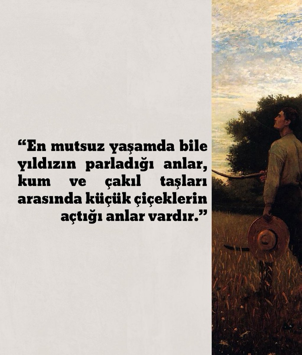 Bozkır Kurdu - Hermann Hesse