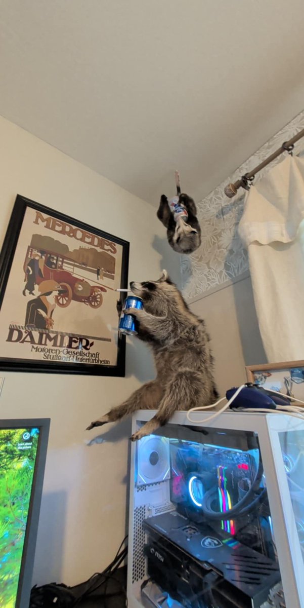 Owen Vlahos tweet media