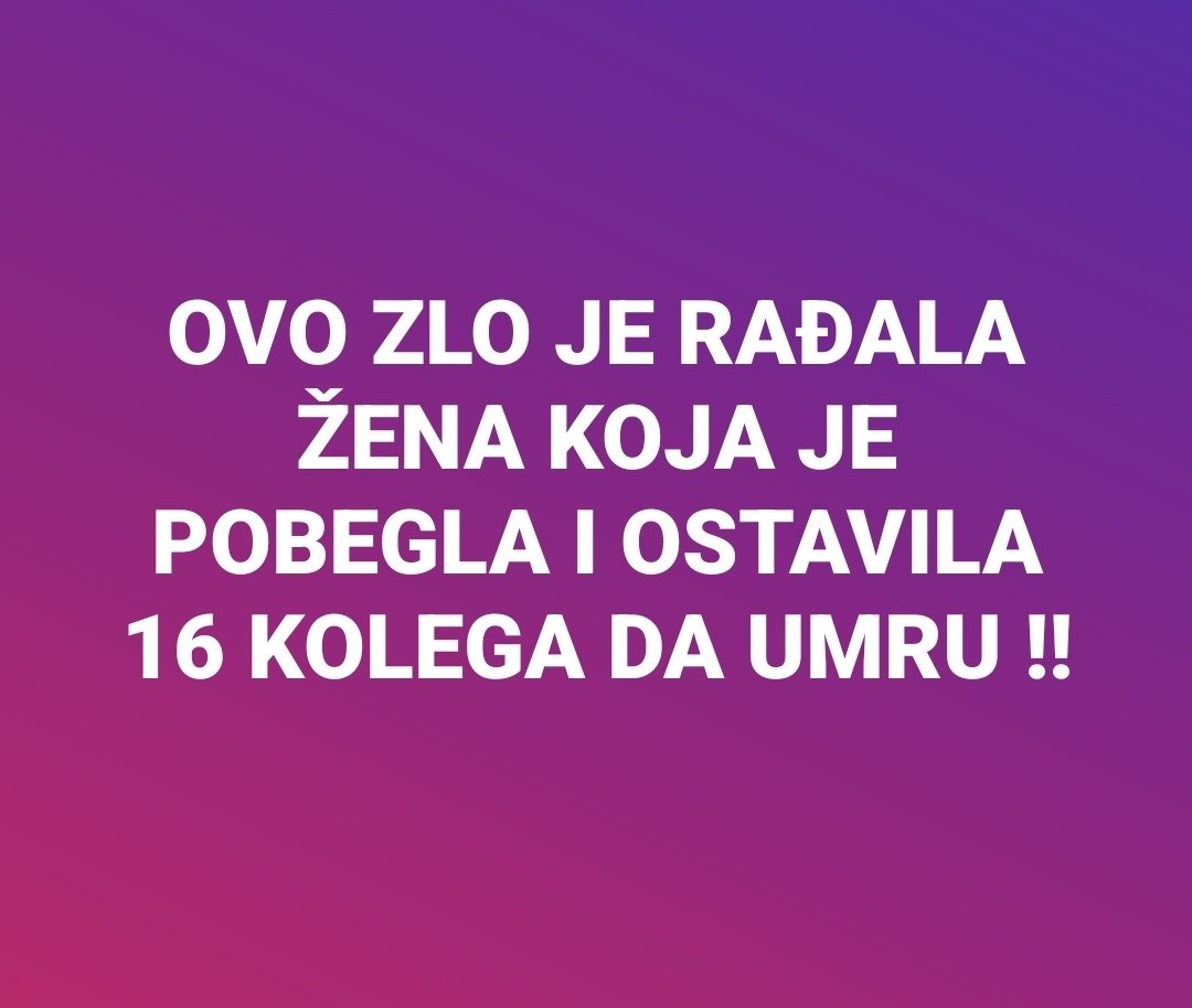 VESELA PČELA (@misa51462726) on Twitter photo 
