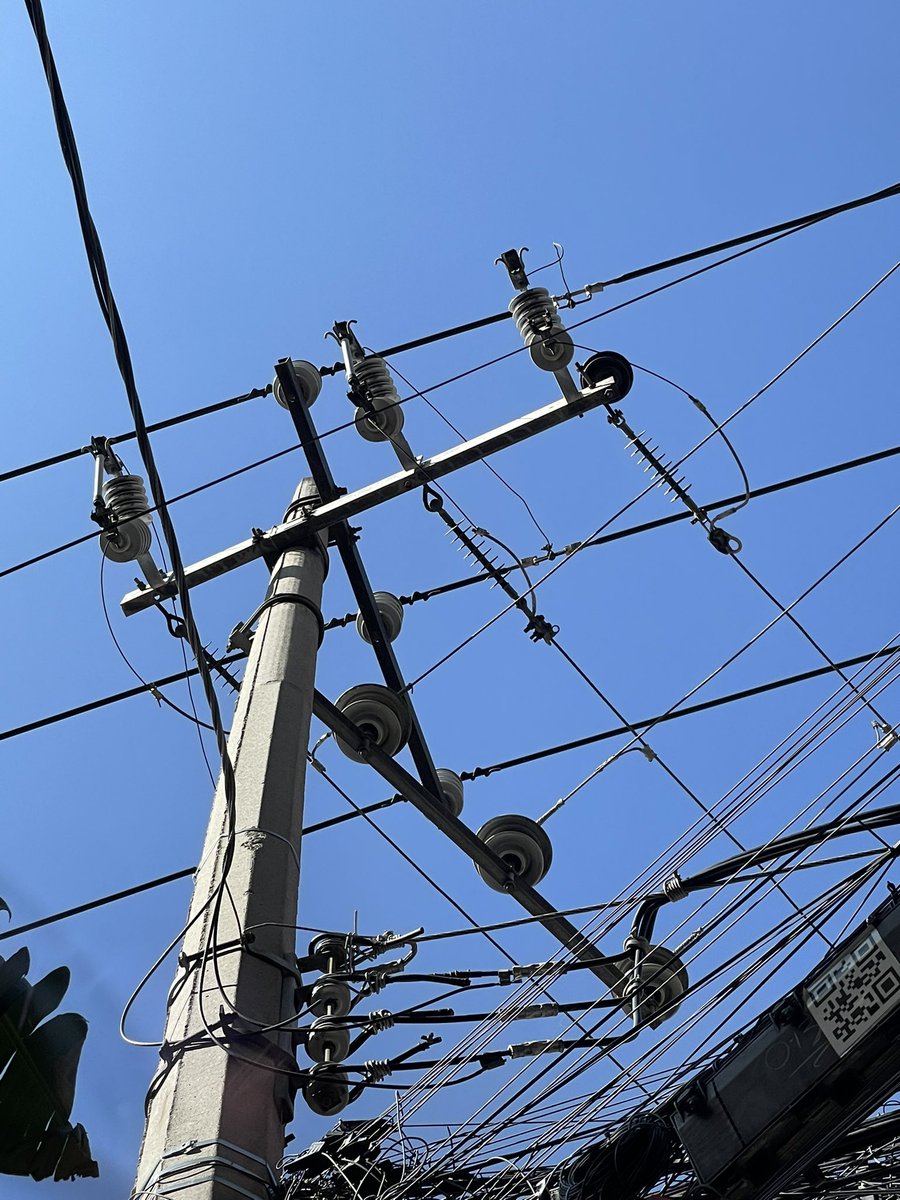 speedcat9 tweet media