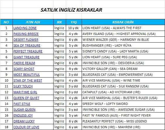 Kurtel Ekürisi’nden Satılık İngiliz Kısraklar