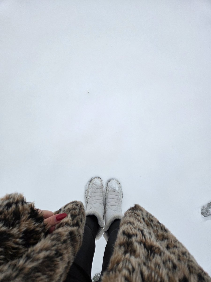 patricia_cseh's tweet image. My favorite season ❄️

大好きな季節！また雪の中にいられて幸せ🥹🤍
