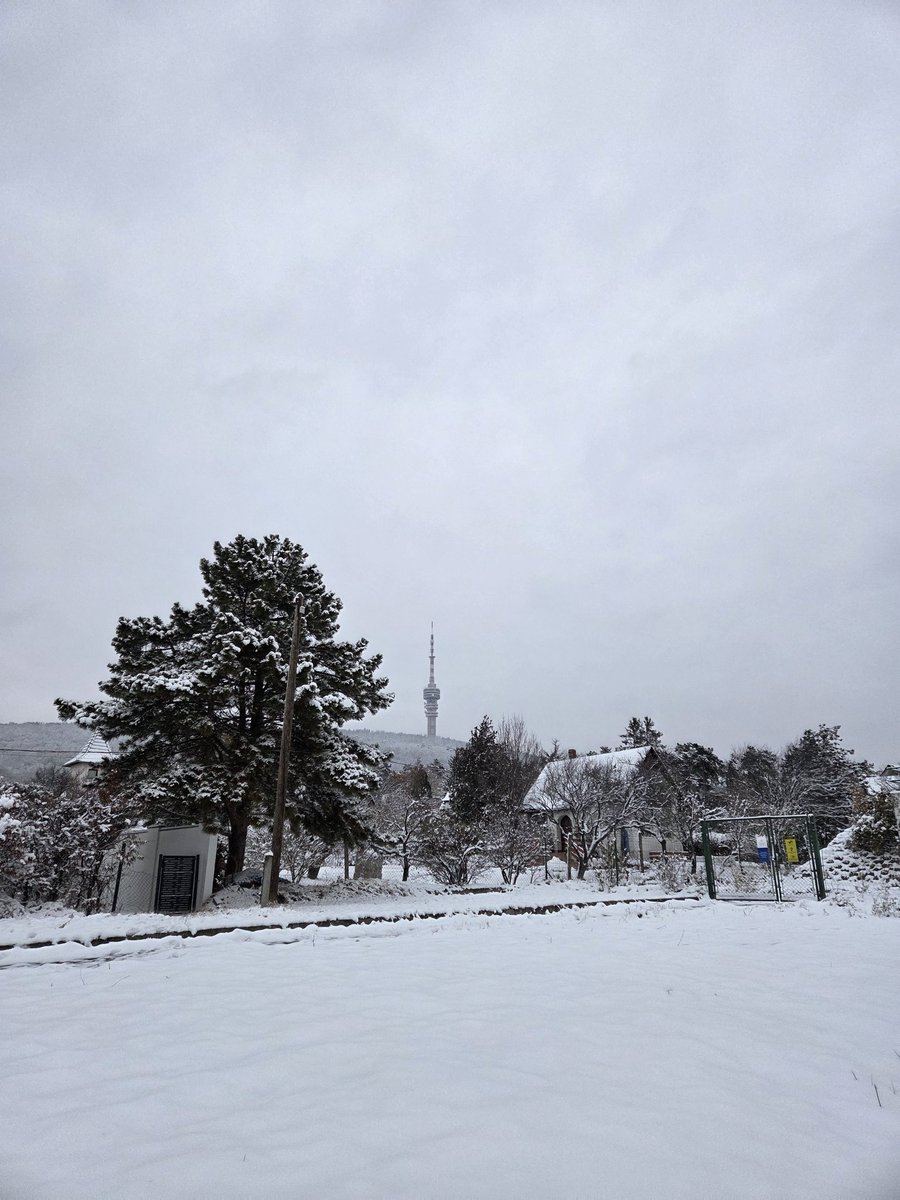 patricia_cseh's tweet image. My favorite season ❄️

大好きな季節！また雪の中にいられて幸せ🥹🤍