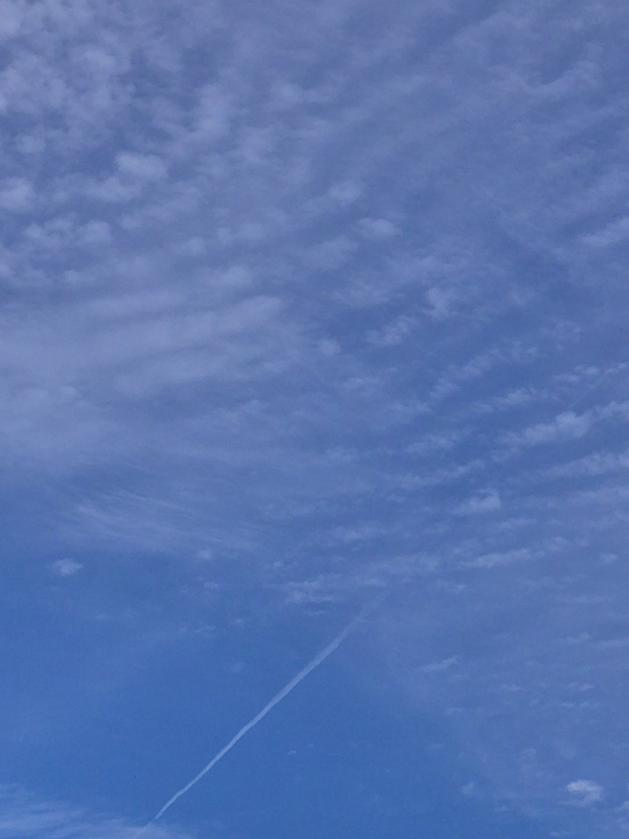 RBQ4Truth's tweet image. What in the 
#Harper 'n
#ChemTrails
Is going on in Eadt Texas???