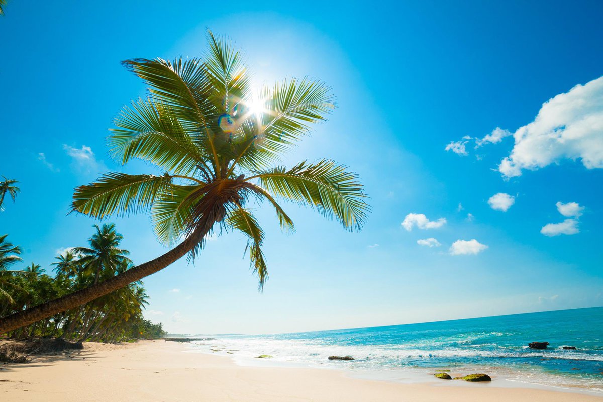 Freunde, ich brauche euch🆘

Muss bald Urlaub einreichen, weiß aber noch gar nicht, wohin ich will😭

Welche Urlaubsorte könnt ihr empfehlen? Vielleicht auch ungewöhnliche, nicht so bekannte Länder? Hatte an Südamerika, speziell an Chile gedacht. Jemand schon da gewesen?