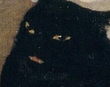 Pierrot and the cat, 1889, by Théophile Steinlen