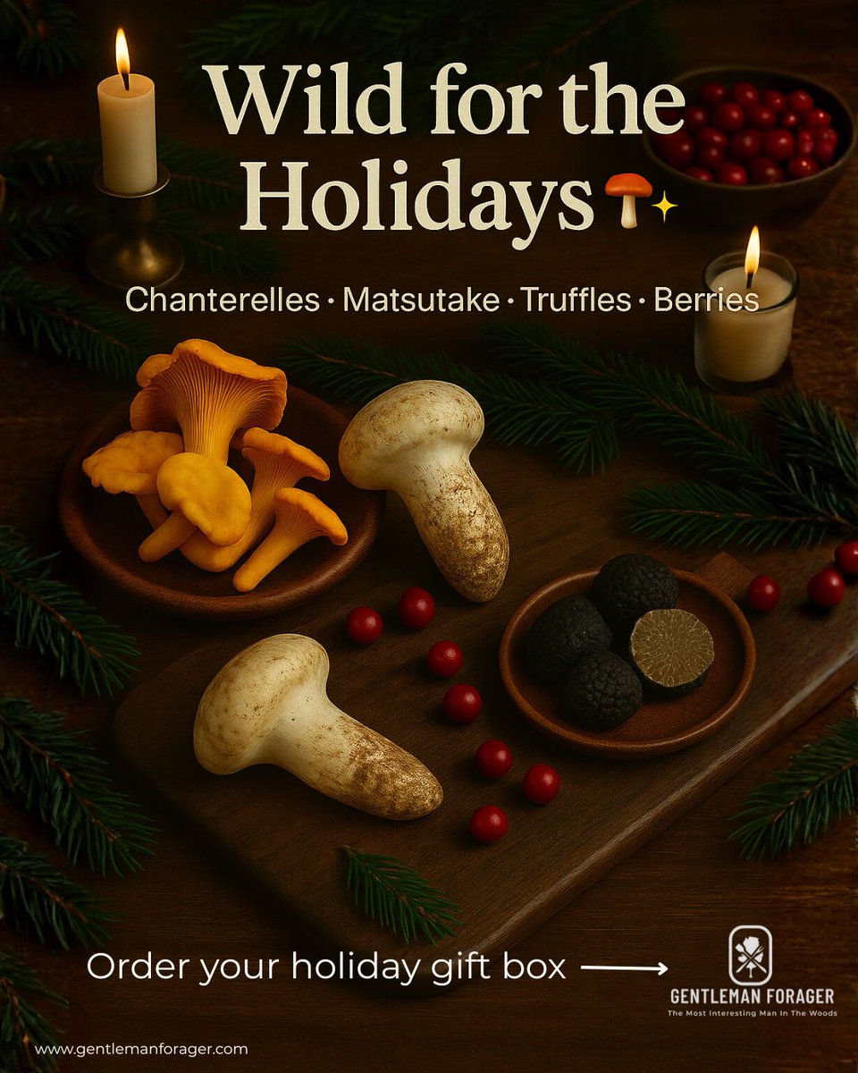 gentlemanforage's tweet image. 🌲 Wild for the Holidays 🍄✨
Golden chanterelles · Matsutake · Truffles · Berries
Gift the forest’s finest — hand‑harvested, beautifully packed, ready to ship nationwide.
Reserve your holiday gift box now ↓
gentlemanforager.com/fresh-wild-foo…

#WildMushrooms #HolidayGift #GourmetFood