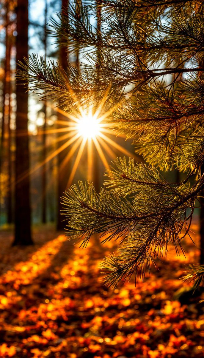 güneşi bir an bile sönmeyen
sonsuzluğun yolcularıyız

#geceye