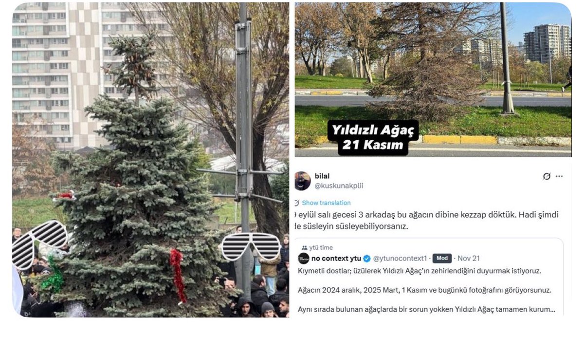 daktilock's tweet image. Yıldız Teknik Üniversitesi’nde her yılbaşında süslenen “Yıldızlı Ağaç”, kimliği belirsiz 3 kişinin döktüğü kezzap nedeniyle kurudu.