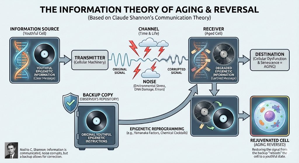 davidasinclair's tweet image. Shockingly good @GoogleAI 👏
