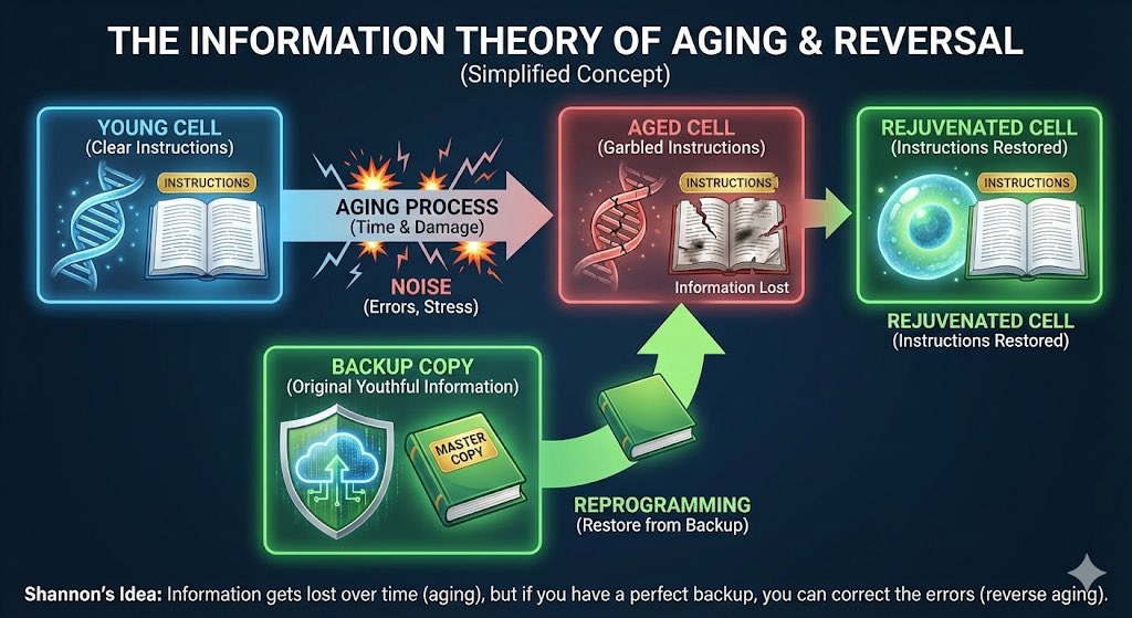 davidasinclair's tweet image. Another version