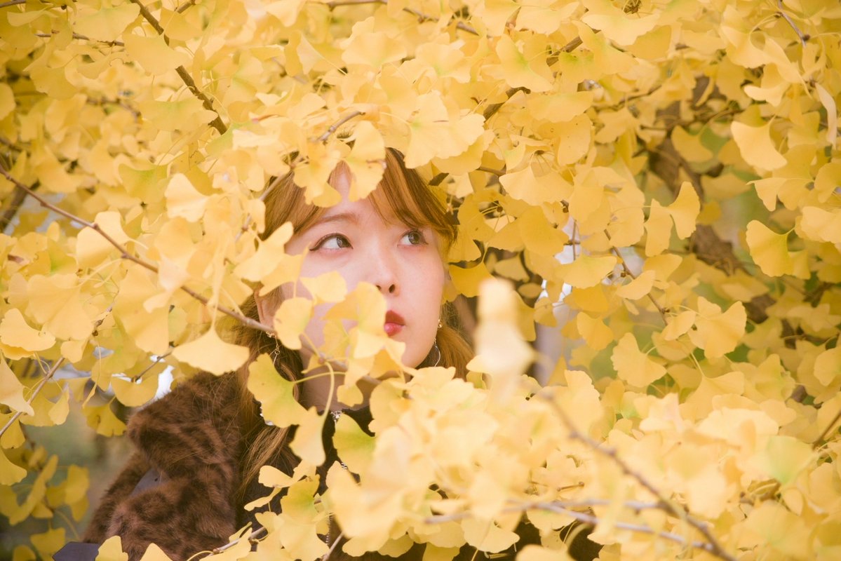 s2sakura08's tweet image. 撮ってくれた写真
お気に入り🍂