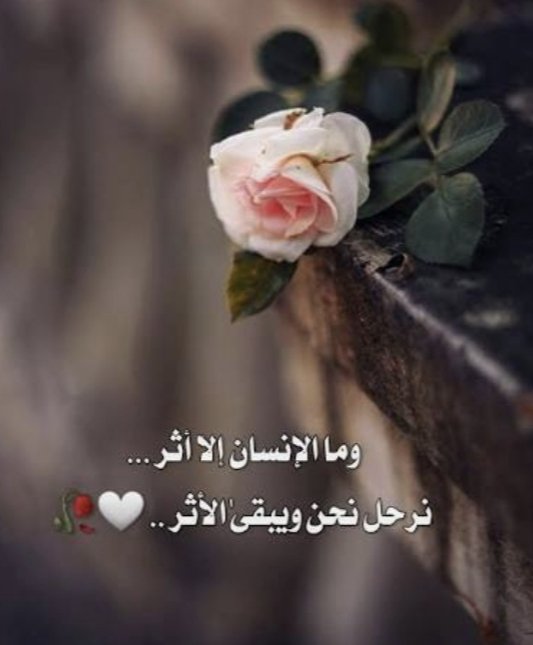 الثروة الوحيدة التي لا تسرق، لا تفنى، ولا تزول مع الزمن .. هي الأثر الطيب. اترك ما يدعو لك الناس به بعد الغياب