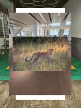 IsmaFlashy's tweet image. 219879🥅638995272380917111_68Ein Mittagessen mit Croque Madame, Käse, Schinken und einem Spiegelei 🥪