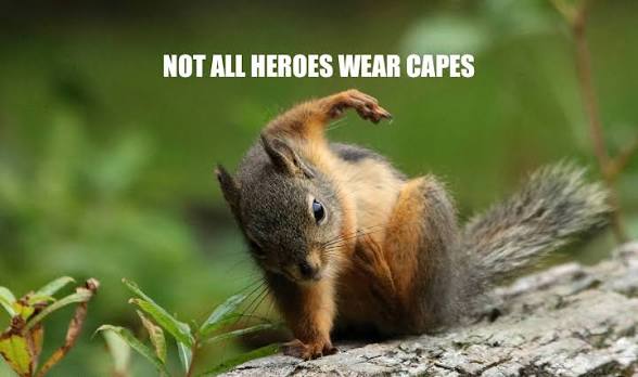 RhiannonSionne's tweet image. Elinor has organized the squirrels, and they are currently going door-to-door collecting donations for @HugsUkraine  💛💙