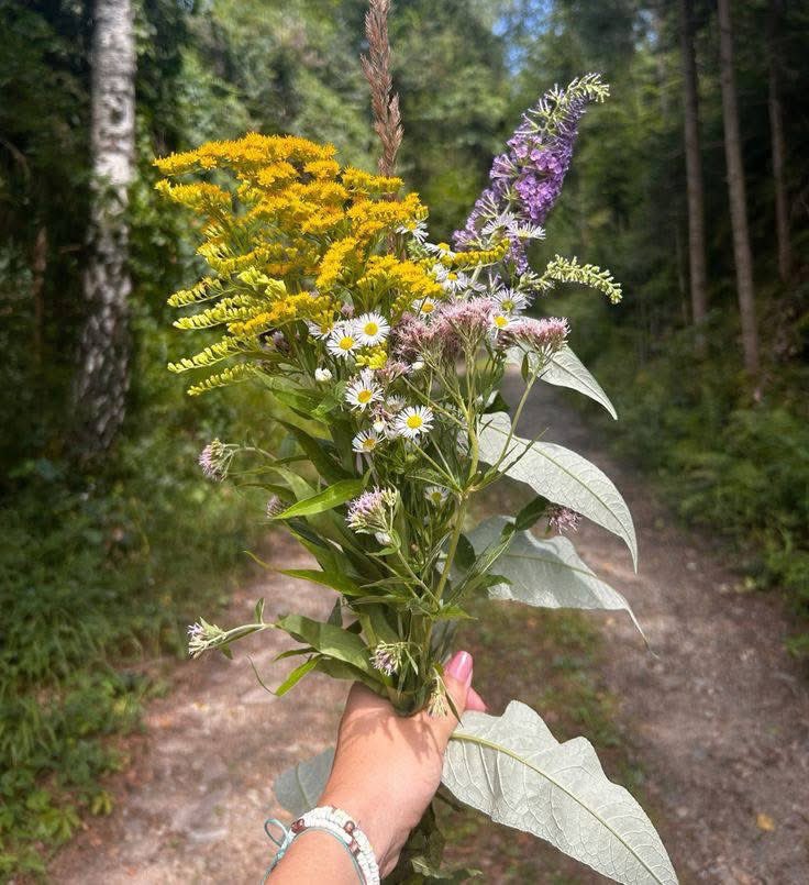 Like wildflowers, we grow.