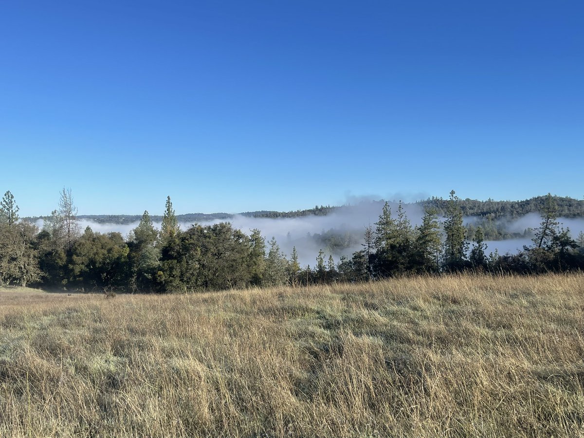 Anthony Sainz tweet media