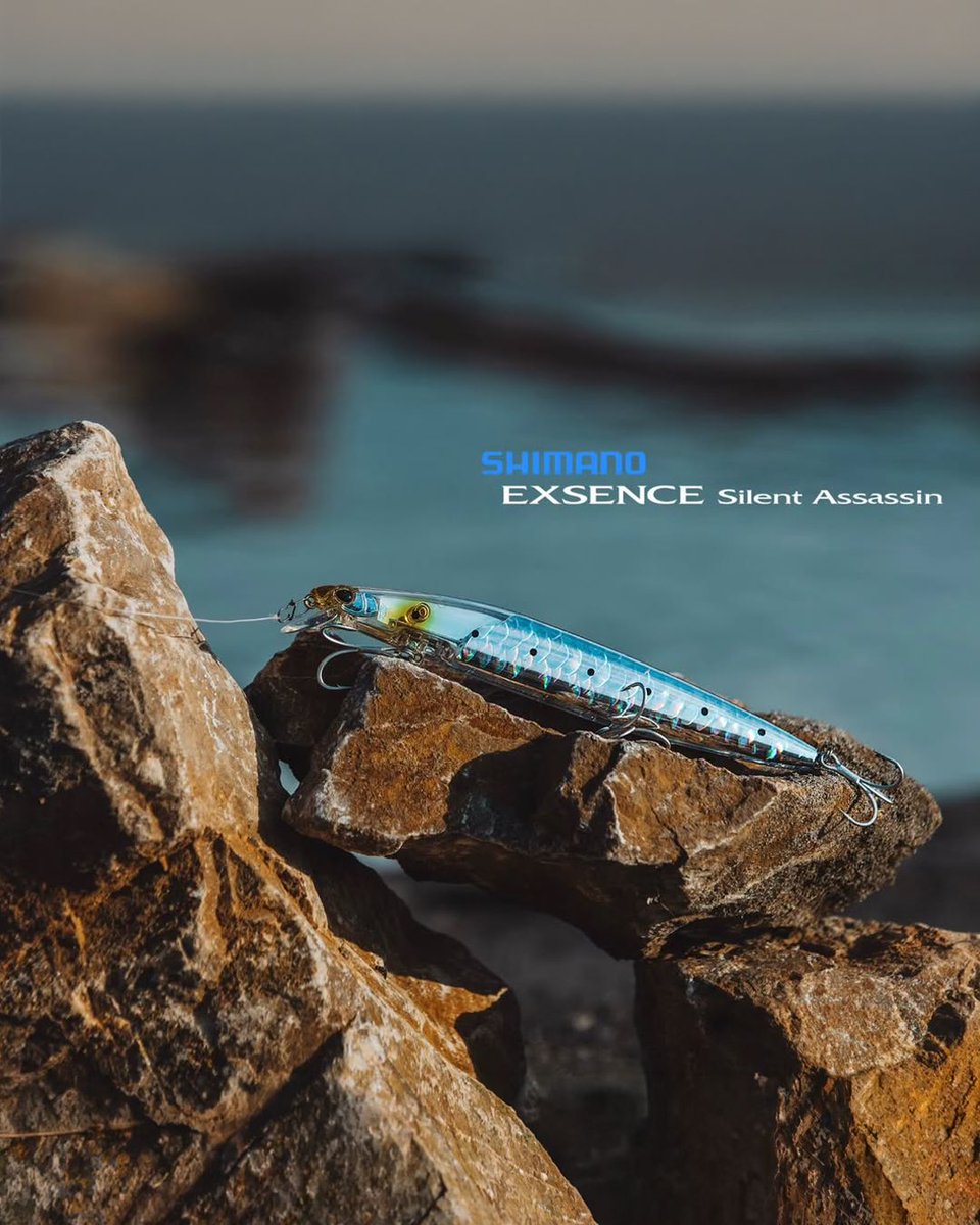 Exsence Silent Assassin, maksimum atış mesafesi için jet boost gerçekçi görünüm ve çekicilik için scale boost ile donatılmış olan bu yem, diğer yemlerin ulaşamayacağı noktalara ulaşarak, gerçekçi görünümü ve aksiyonu ile avcı balıkların karşı koyamayacağı bir seçenek halini alır.