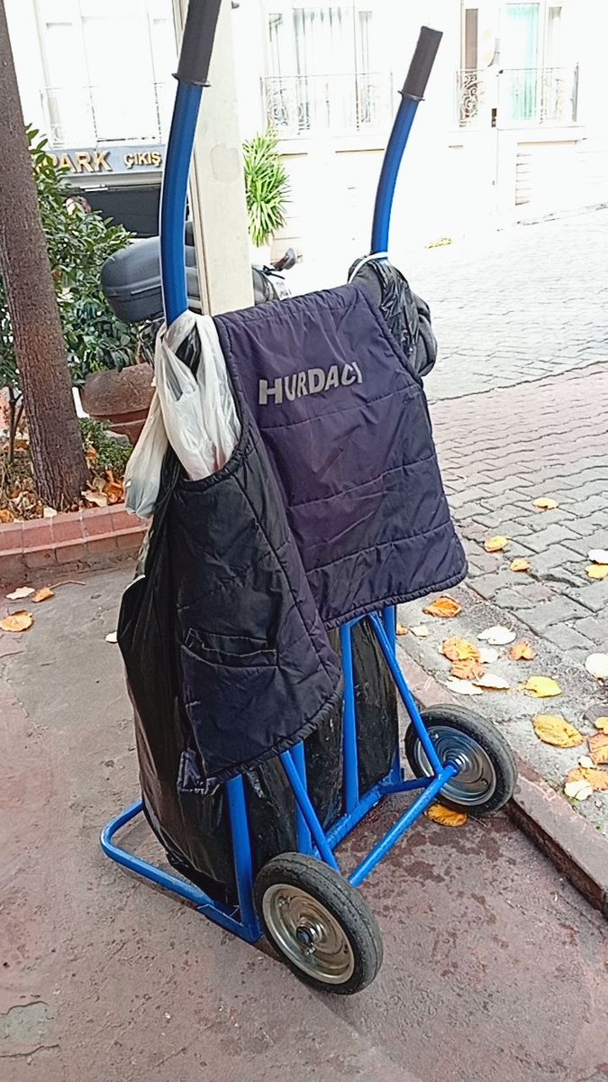 evsizadam13's tweet image. 