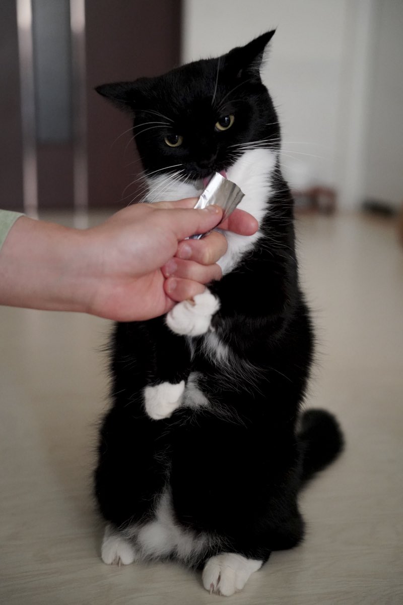 Treats make Uni even stronger