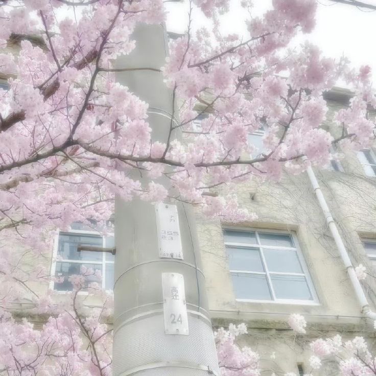 Uravitiw's tweet image. go to pinterest and search 🫧

𐙚 celebrity
𐙚 outfit
𐙚 quote
𐙚 aesthetic