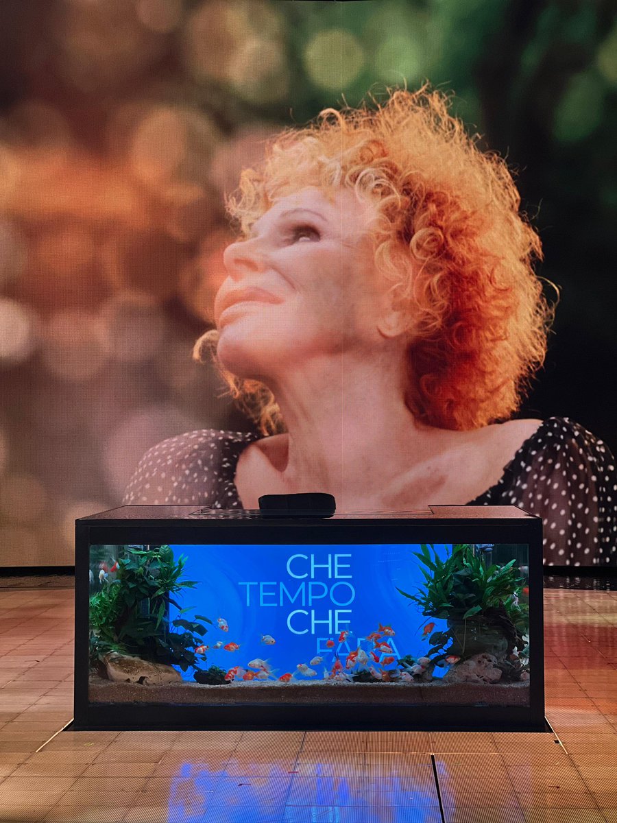 ❤️‍🩹 #CTCF #OrnellaVanoni