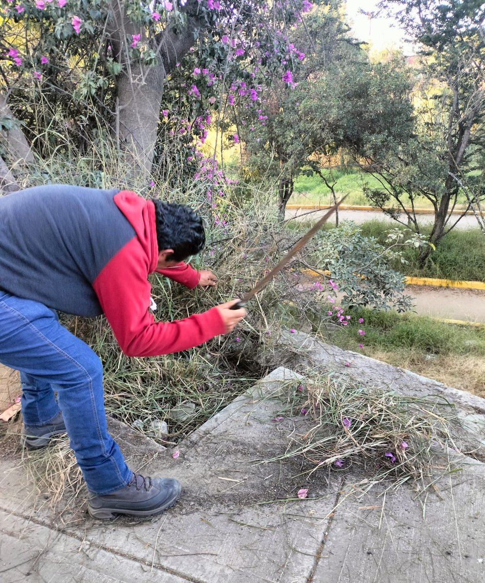 Admon_GobOax's tweet photo. 📌Este domingo, funcionariado adscrito a la Dirección Jurídica y a la Dirección Administrativa, se sumó al #MegaTequio de Limpieza en el río Atoyac, convocado por la Secretaría de Bienestar, Tequio e Inclusión del Estado de Oaxaca y Tequio Bienestar.
🧵 https://t.co/DD1BTUW8Jk