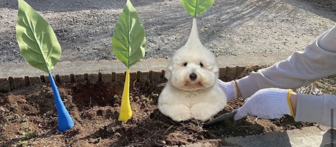 urrrinal's tweet image. 