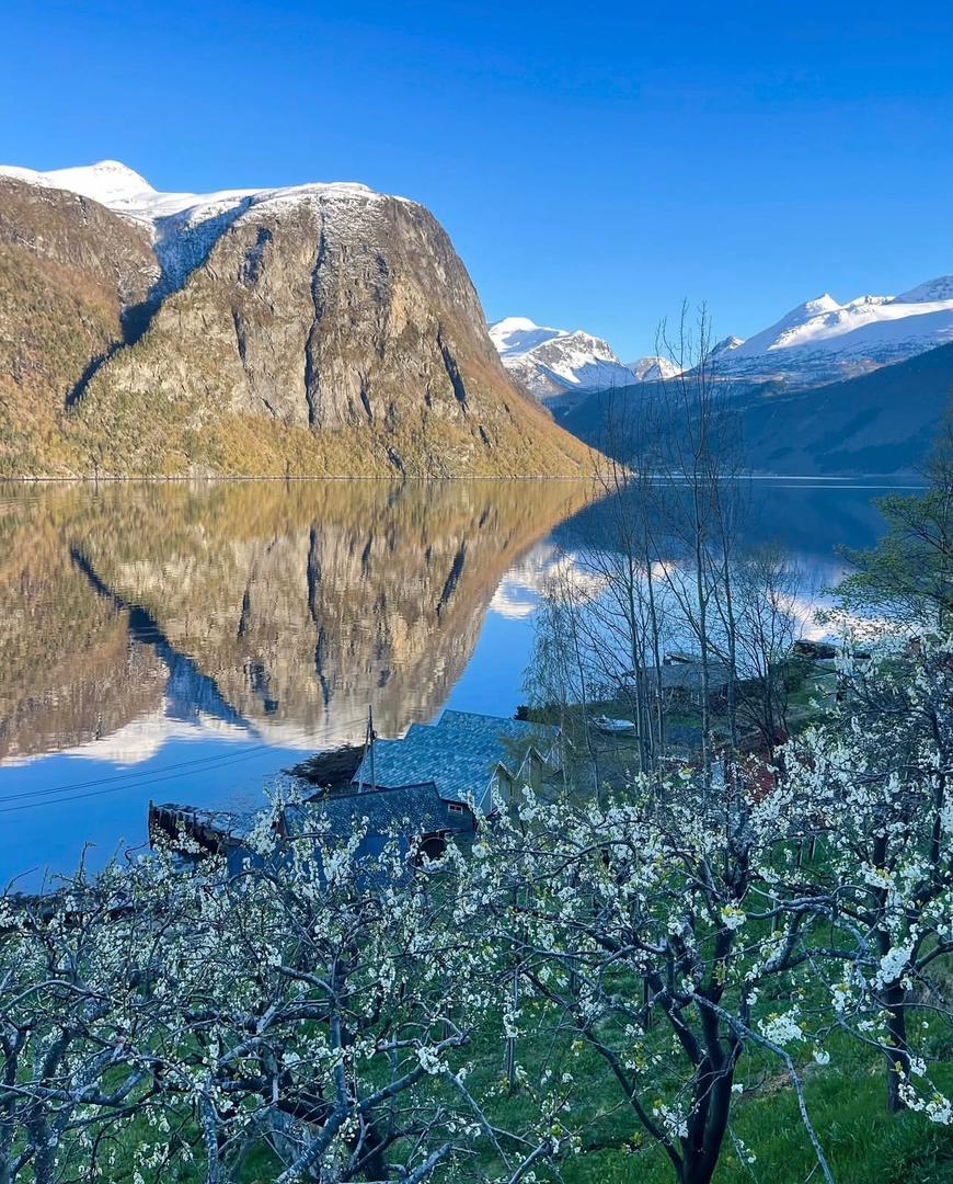 SolbergAsbjorn's tweet photo. Der fjellene møter himmelen, finner jeg fred 🌄💚 #Naturmagi #Fjellstemning #HøyUtsikt #FinnDinFred #JordKjærlighet #NaturenHelbreder #InnIVillmarken #NaturskjønnFlukt #GåUtforsk #PerfeksjonNatur #PustInnNaturen https://t.co/3j1S5QEIR6