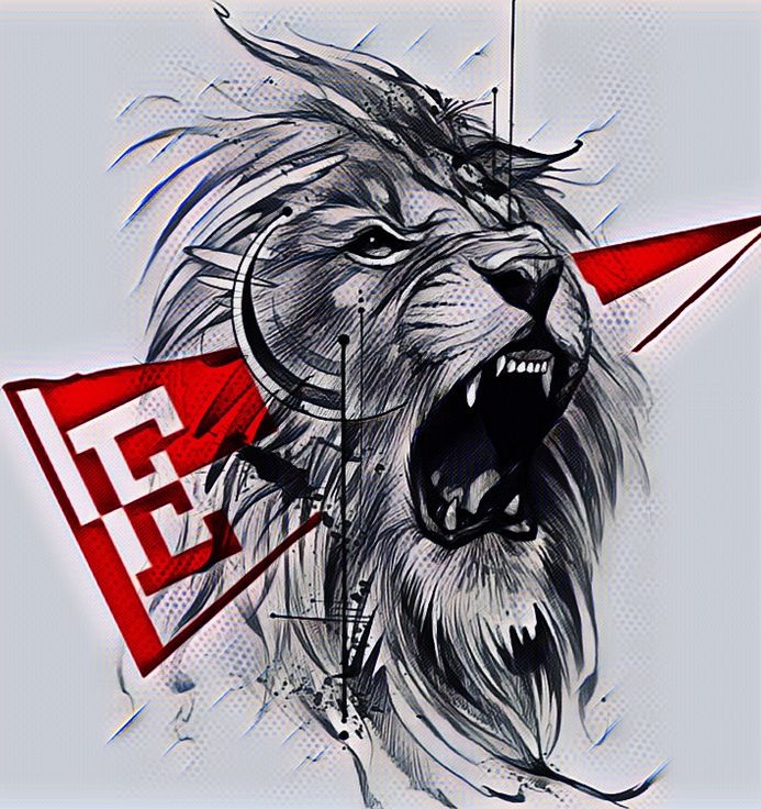 Trumperizar's tweet image. Milei y Estudiantes, los DOS LEONES🦁 nacidos para destruir los sistemas corruptos.

Hay que bancarlos más que nunca.