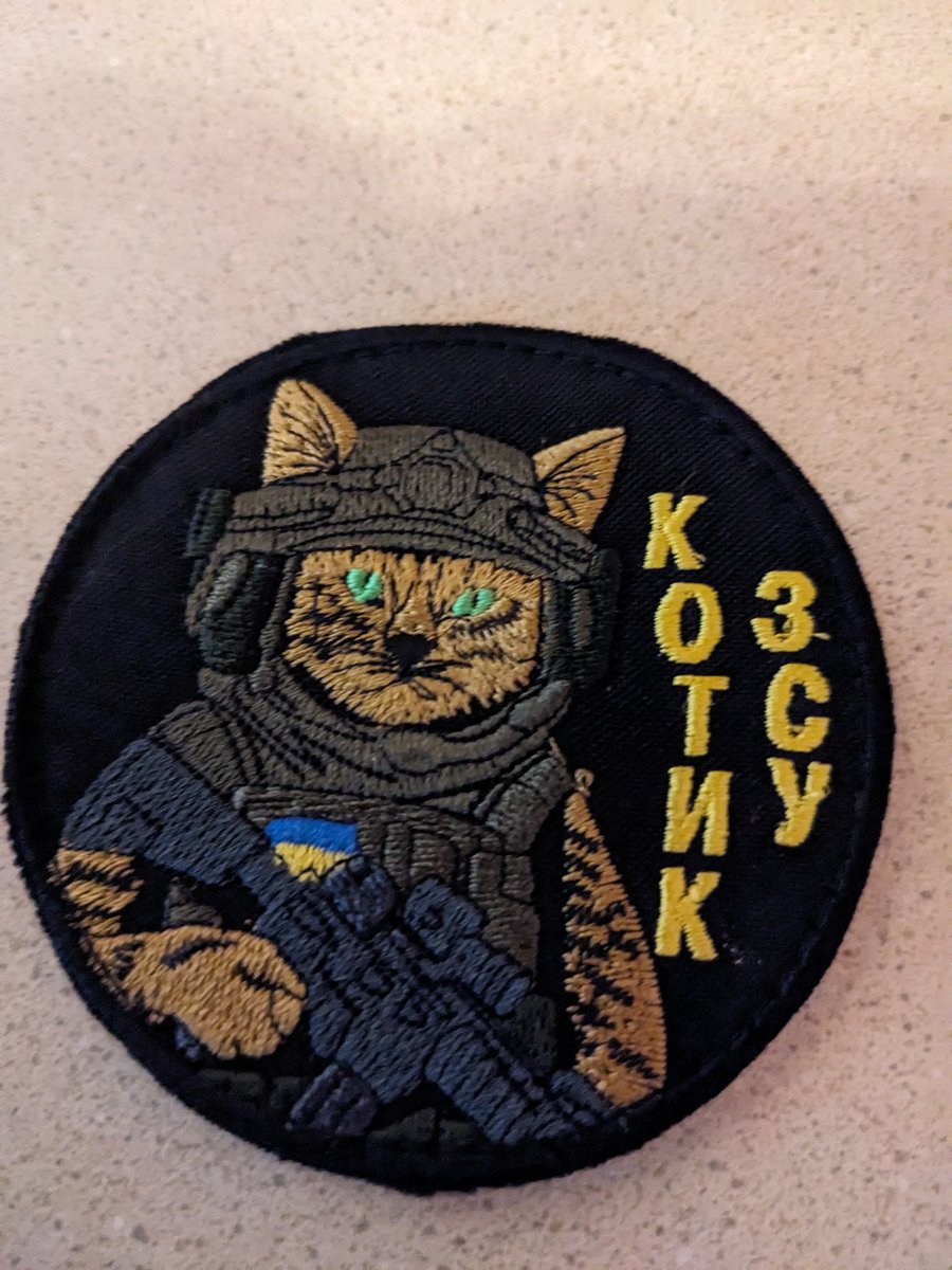 RhiannonSionne's tweet image. I love the patch! I need one for Elinor&apos;s cat carrier. 
This one is on there now, but there is room for many more! 😸