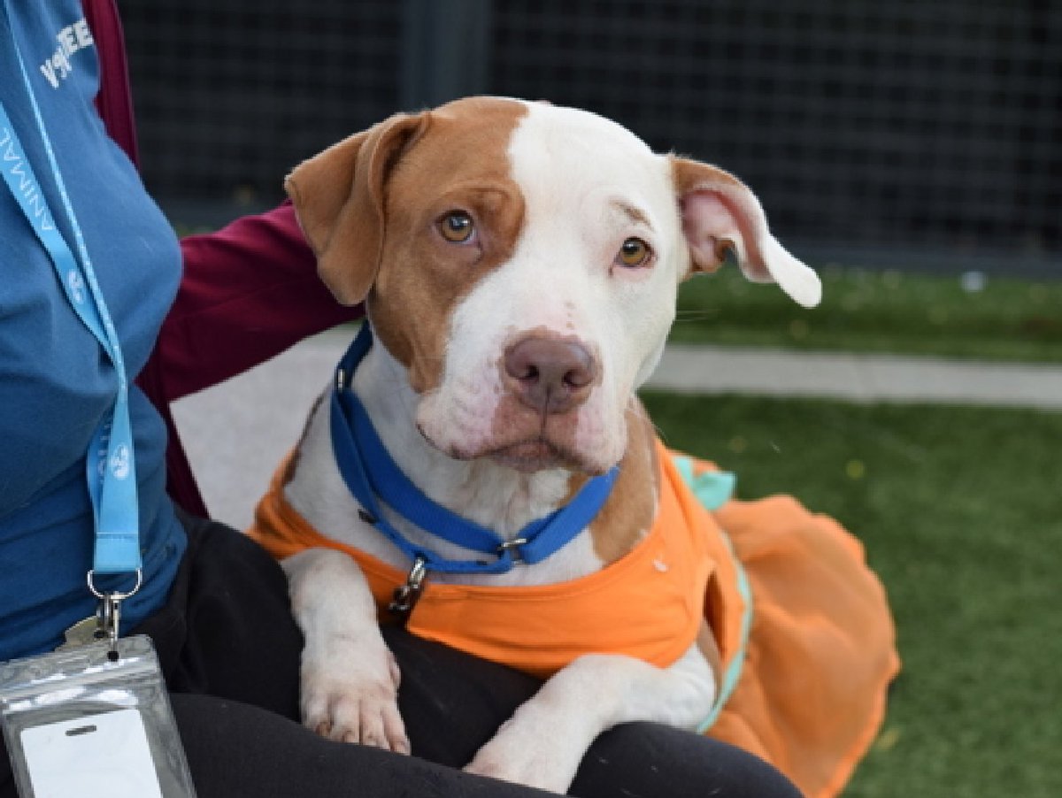 notthesameone2's tweet image. 3-y/o Aurora: