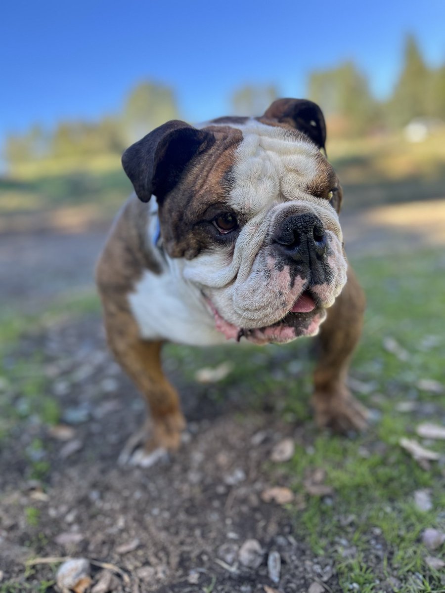 🌷 LIZZIE🌷 tweet media