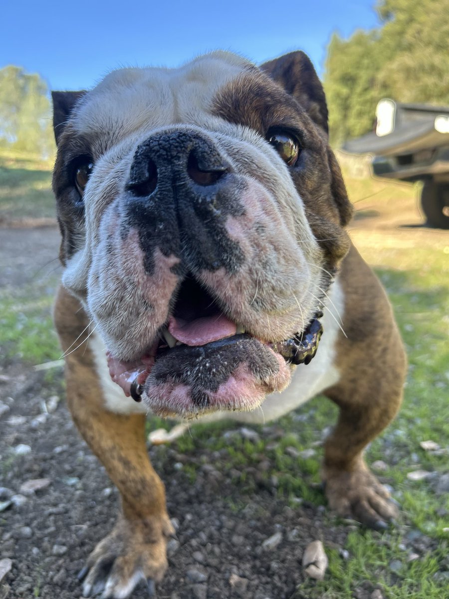 🌷 LIZZIE🌷 tweet media