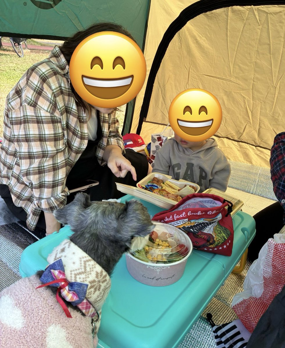 勝ちゃん tweet media