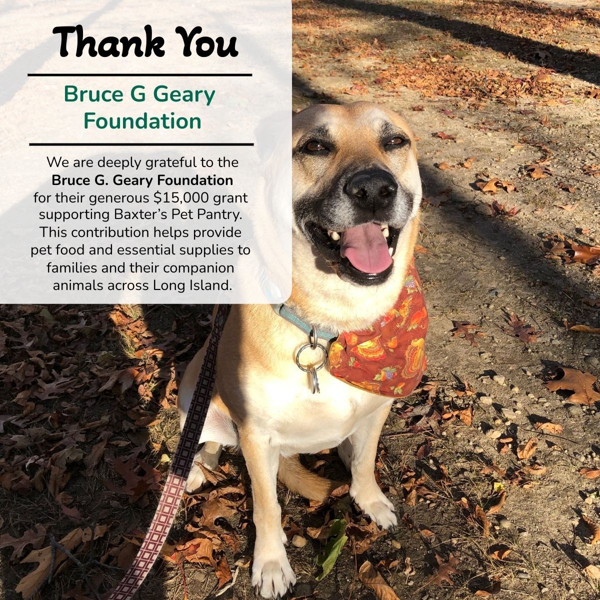 LongIslandCares's tweet image. A heartfelt thank you to the Bruce G Geary Foundation for supporting Baxter’s Pet Pantry.

Their generosity helps us provide 9,450 meals worth of pet food and supplies to families across Long Island. 🌟 

#LongIslandCares #BaxtersPetPantry #EndHungerLI