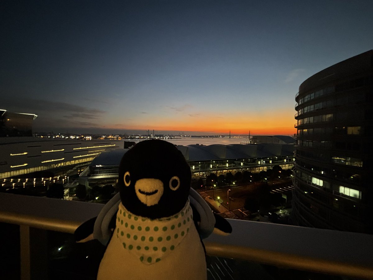 good morning every ペン🐧