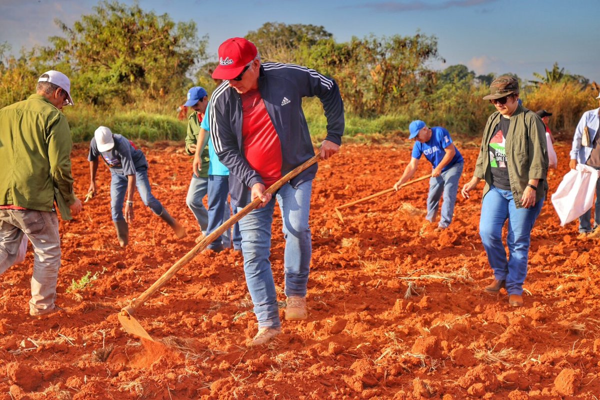 RP_OndaAlegria's tweet image. 🌾🇨🇺| Con el ejemplo del Che: @DiazCanelB encabeza jornada de trabajo voluntario

ℹ️ Ampliamos la información en el sitio web de #RadioProgreso #LaOndaDeLaAlegría 🔗👇 radioprogreso.icrt.cu/con-el-ejemplo…

#TrabajoVoluntario #RadioCubana #SonidoParaVer #Noticias #Actualidad