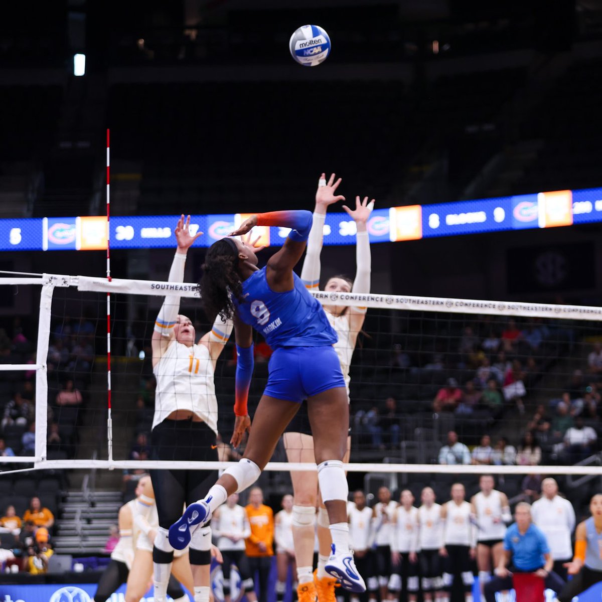 GatorsVB's tweet image. MADKIN MADNESS 😤

A. Madkin leading the Gators with 1️⃣4️⃣ kills!
