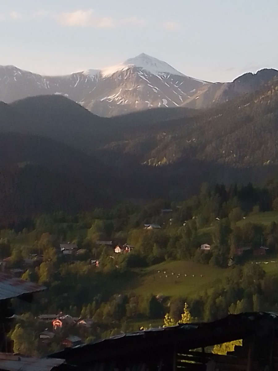 Küçük hesabım diyemi takip edilmiyorum dava arkadaşlarım