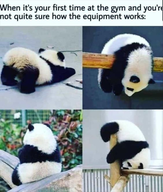 WholesomeMeme's tweet image. 