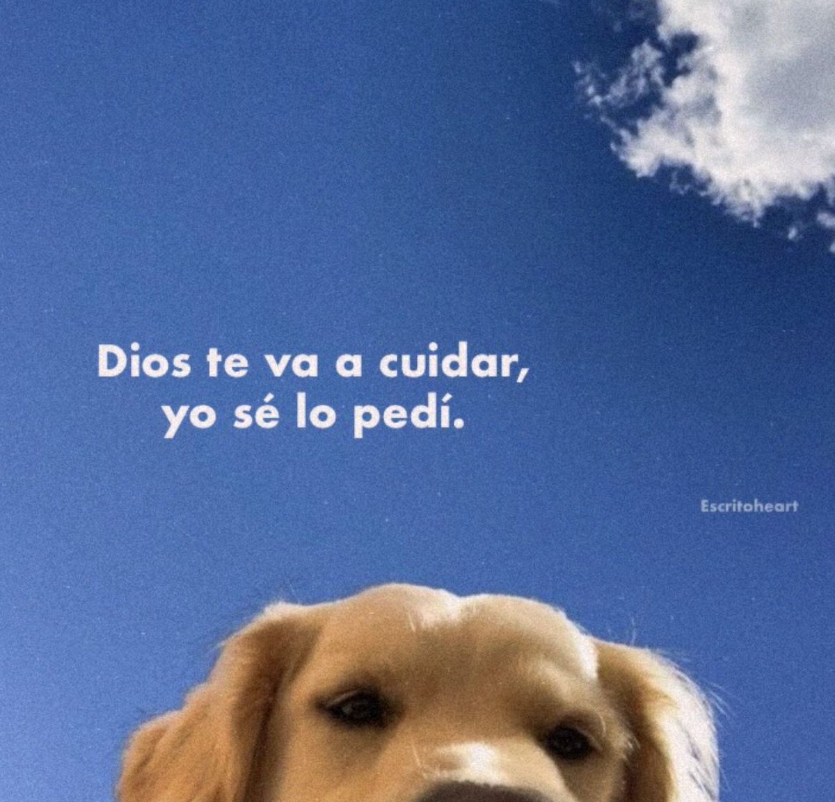 vibes (@vibesfyp) on Twitter photo 