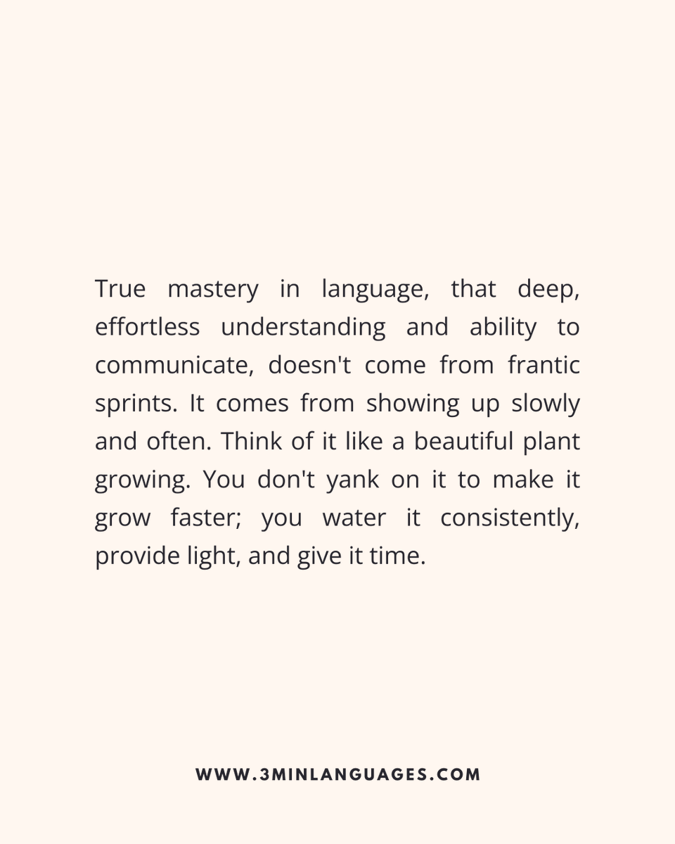 3MLanguages's tweet image. Don’t rush the magic.
 Show up slowly and often.
 👉 Grow steadily: 3minlanguages.com

#3MinuteLanguages #StudyIn3 #LanguageLearning #MicroLearning #Consistency #LearnFrench #LearnSpanish #LearnGerman #LearnItalian #LearnPortuguese