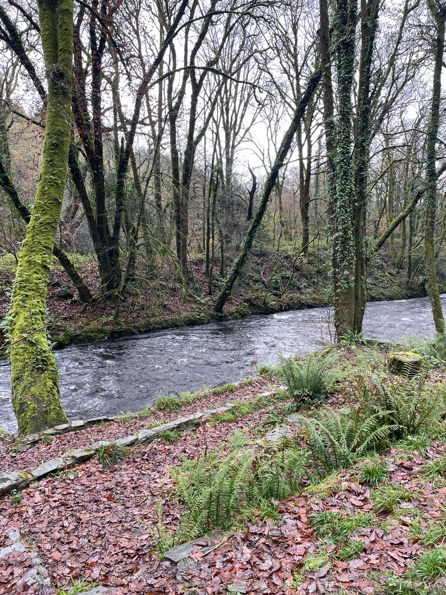 EA Fisheries - Devon and Cornwall tweet media