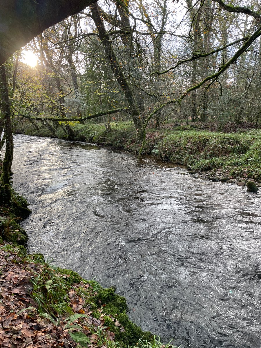 EA Fisheries - Devon and Cornwall tweet media