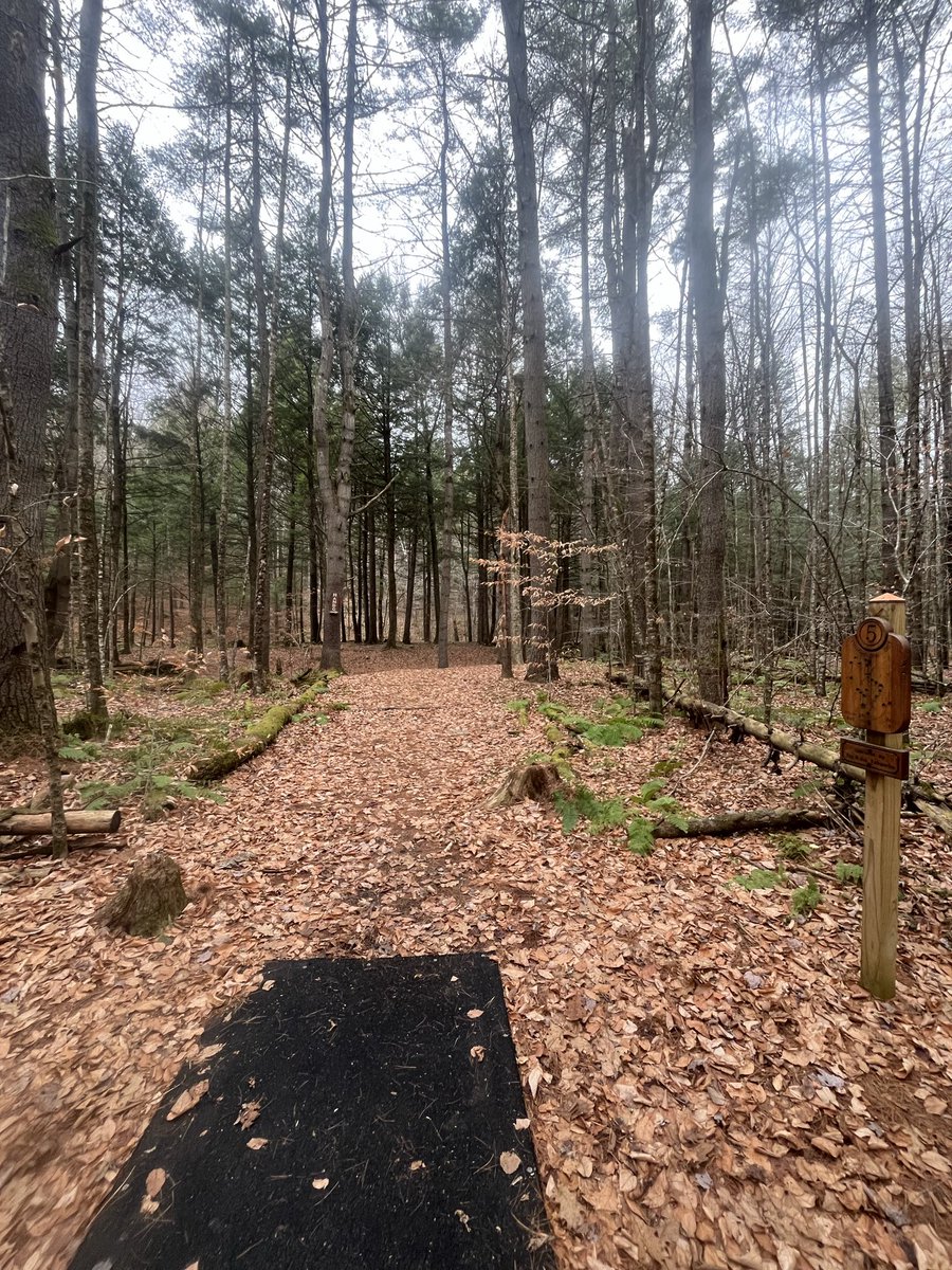 TucLoX 🕟 tweet media